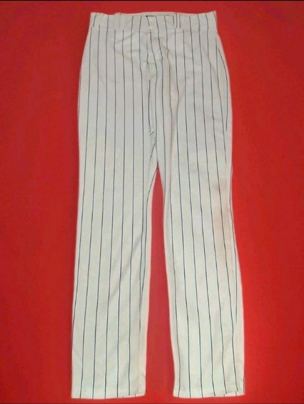 2011 Game Worn Chicago Cubs Pin Stripe Jersey Pants Vintage Authentic Baseball